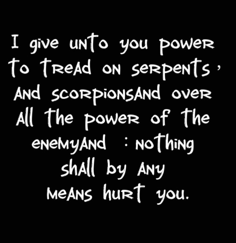 scripture cross socks 經文十字襪子