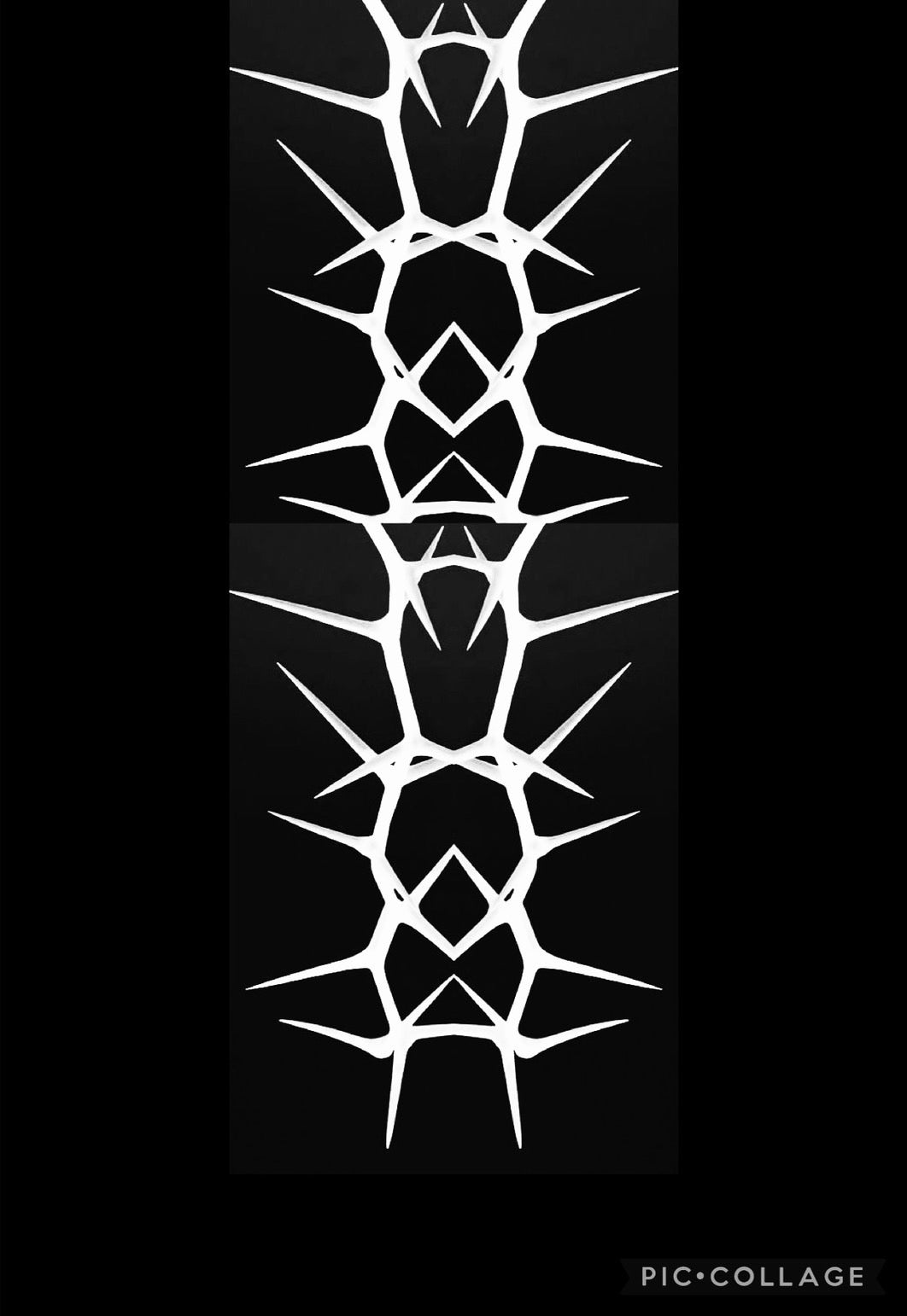 upright thorn socks直立荊棘襪子