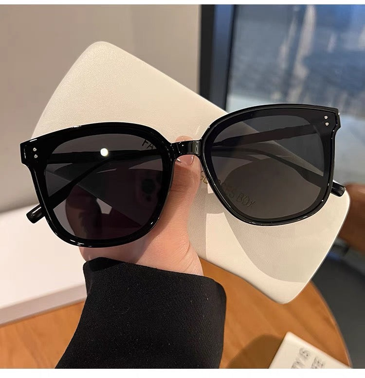 鐵架膠框墨鏡 Iron frame plastic frame sunglasses