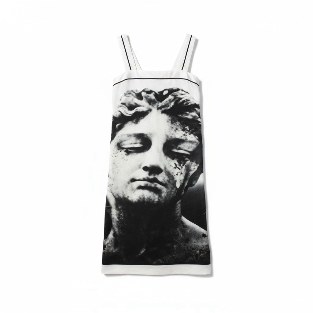 Statue print straight long skirt 雕像印花直筒長片裙